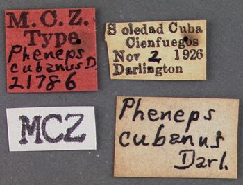 Media type: image;   Entomology 21786 Aspect: labels